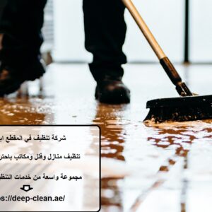 شركة تنظيف في المقطع ابوظبي
