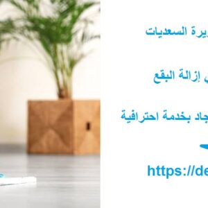 شركة تنظيف في جزيرة السعديات