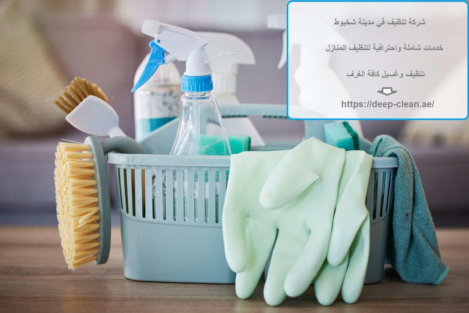 شركة تنظيف في مدينة شخبوط